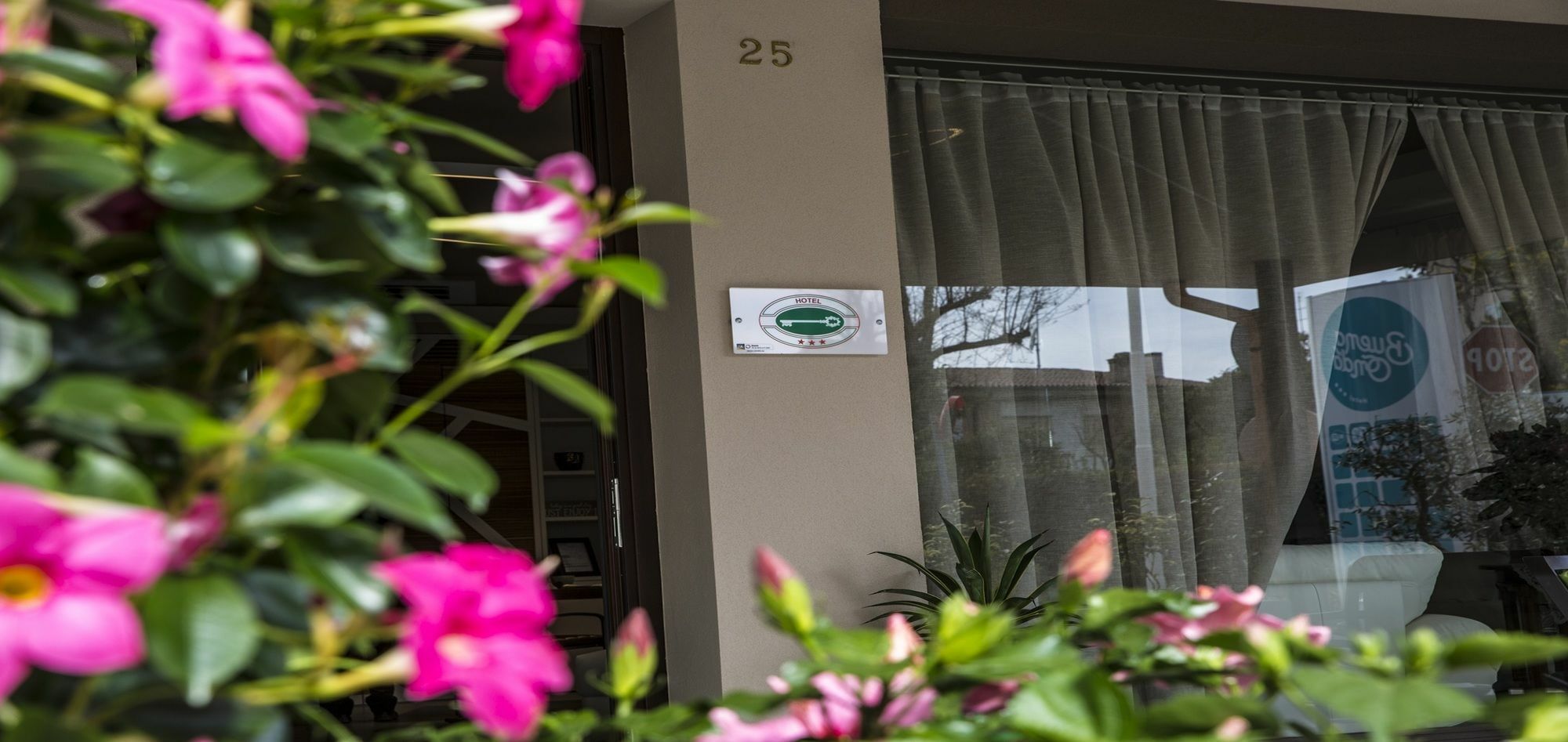 Hotel Buena Onda ペスキエーラ・デル・ガルダ エクステリア 写真